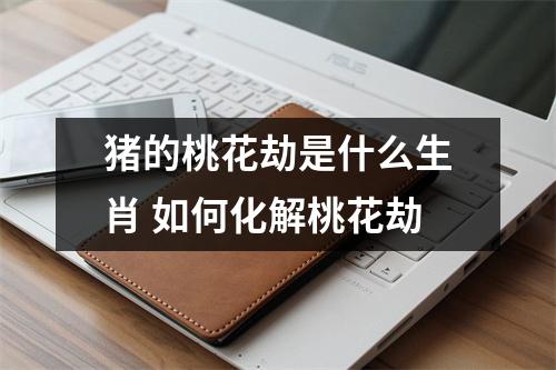 猪的桃花劫是什么生肖如何化解桃花劫