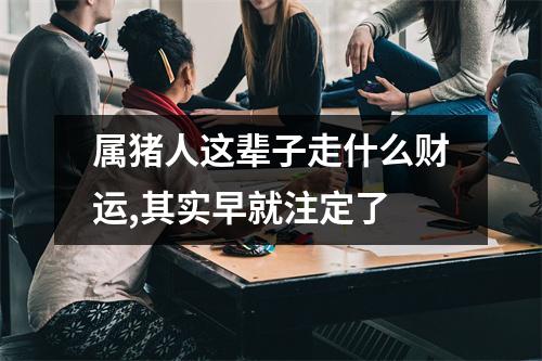 属猪人这辈子走什么财运,其实早就注定了