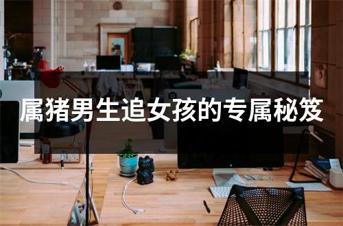 属猪男生追女孩的专属秘笈