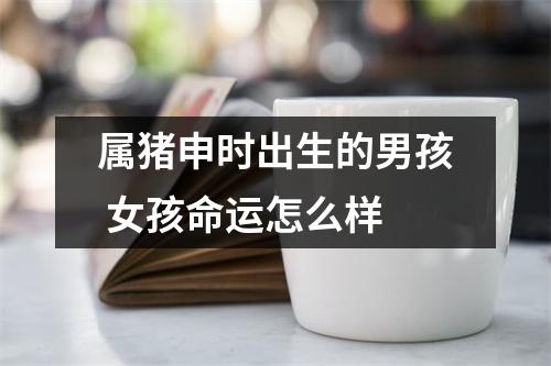 属猪申时出生的男孩女孩命运怎么样