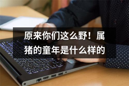 原来你们这么野！属猪的童年是什么样的