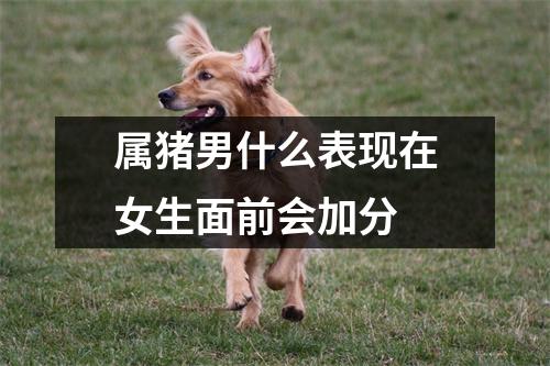 属猪男什么表现在女生面前会加分