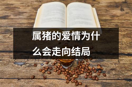 属猪的爱情为什么会走向结局
