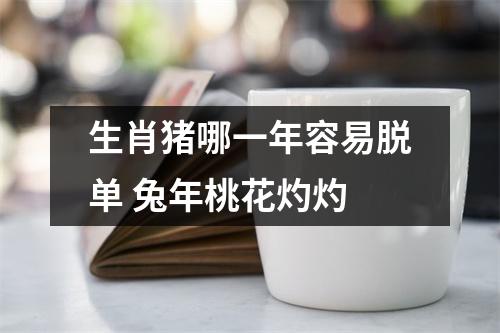 生肖猪哪一年容易脱单兔年桃花灼灼