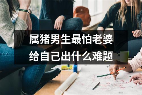 属猪男生怕老婆给自己出什么难题