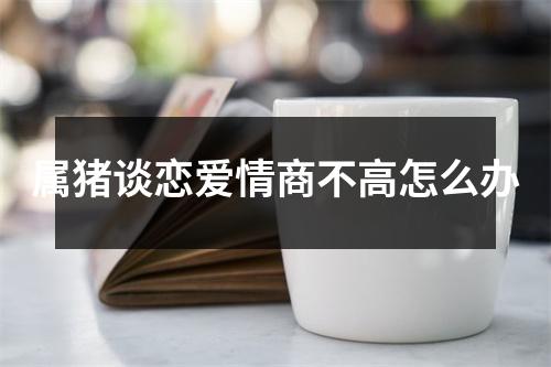 属猪谈恋爱情商不高怎么办