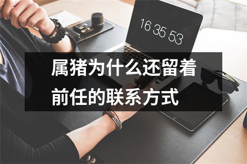 属猪为什么还留着前任的联系方式