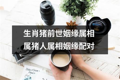 生肖猪前世姻缘属相属猪人属相姻缘配对