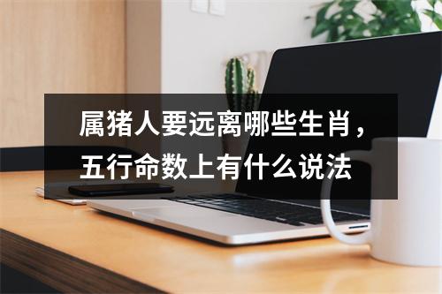 属猪人要远离哪些生肖，五行命数上有什么说法