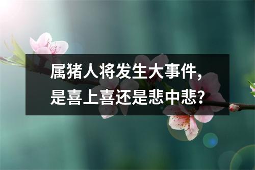 属猪人将发生大事件,是喜上喜还是悲中悲？