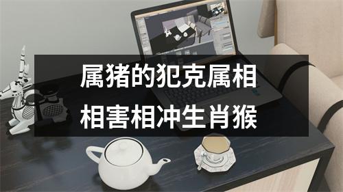 属猪的犯克属相相害相冲生肖猴