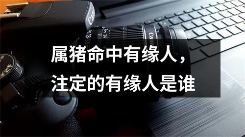 属猪命中有缘人，注定的有缘人是谁