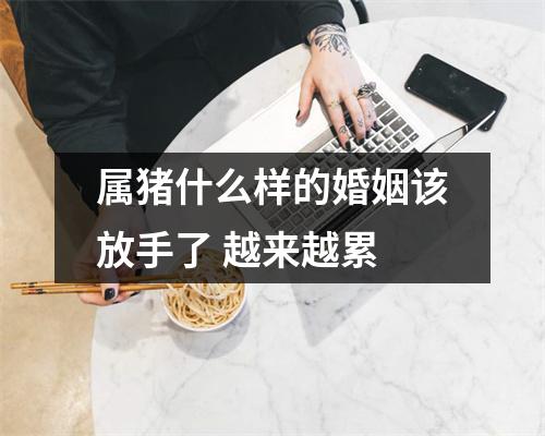 属猪什么样的婚姻该放手了越来越累