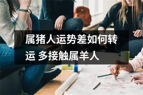 属猪人运势差如何转运多接触属羊人
