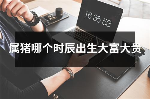 属猪哪个时辰出生大富大贵