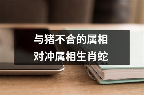 与猪不合的属相对冲属相生肖蛇