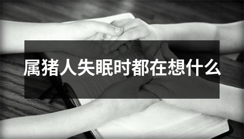 属猪人失眠时都在想什么