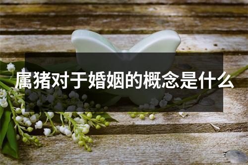 属猪对于婚姻的概念是什么