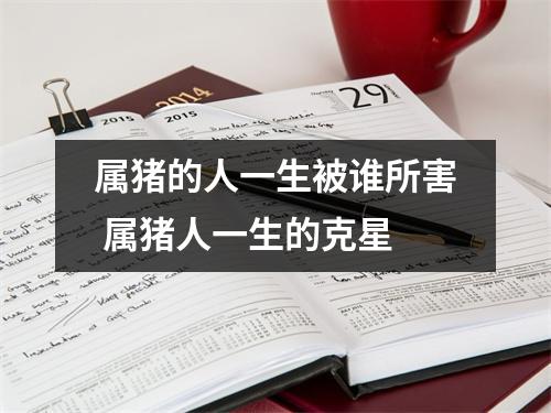 属猪的人一生被谁所害属猪人一生的克星