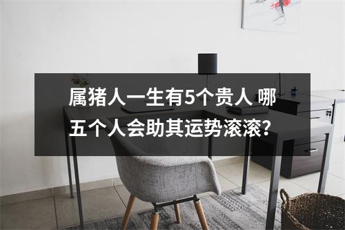 属猪人一生有5个贵人哪五个人会助其运势滚滚？