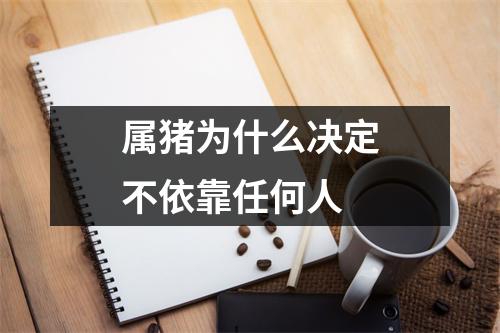 属猪为什么决定不依靠任何人