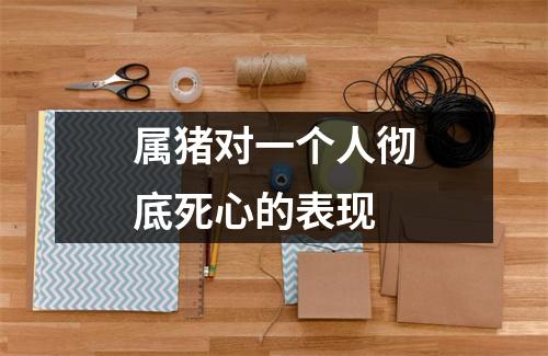 属猪对一个人彻底死心的表现