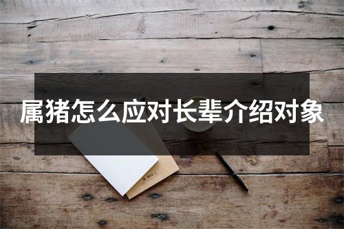 属猪怎么应对长辈介绍对象