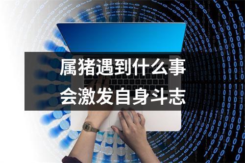 属猪遇到什么事会激发自身斗志