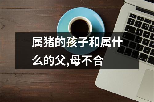 属猪的孩子和属什么的父,母不合