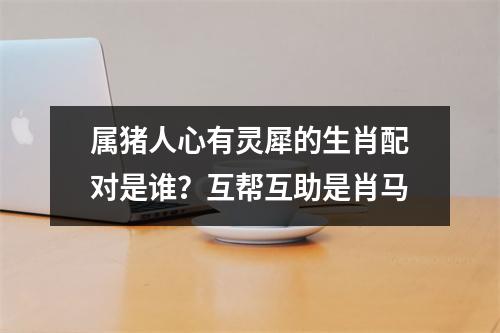 属猪人心有灵犀的生肖配对是谁？互帮互助是肖马