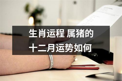 生肖运程属猪的十二月运势如何
