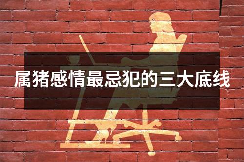 属猪感情忌犯的三大底线