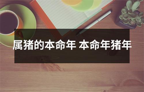属猪的本命年本命年猪年