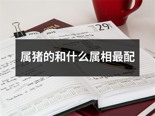 属猪的和什么属相配