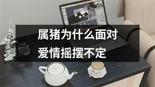 属猪为什么面对爱情摇摆不定