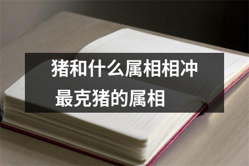 猪和什么属相相冲克猪的属相