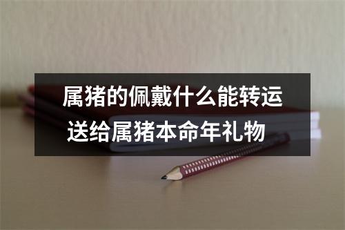 属猪的佩戴什么能转运送给属猪本命年礼物