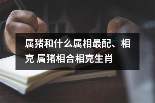 属猪和什么属相配、相克属猪相合相克生肖