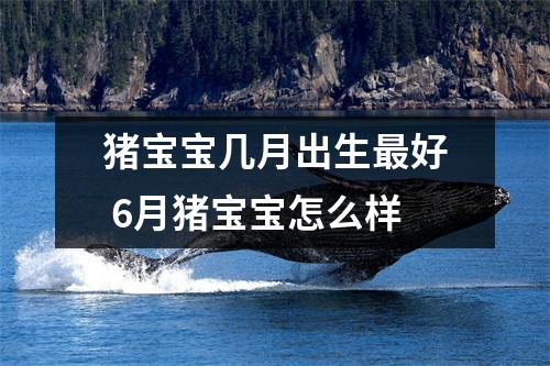 猪宝宝几月出生好6月猪宝宝怎么样