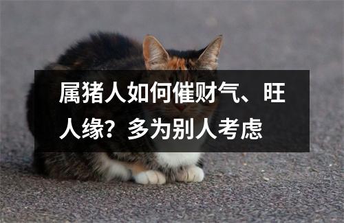 属猪人如何催财气、旺人缘？多为别人考虑