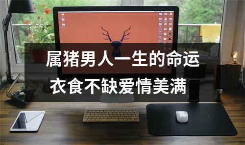 属猪男人一生的命运衣食不缺爱情美满