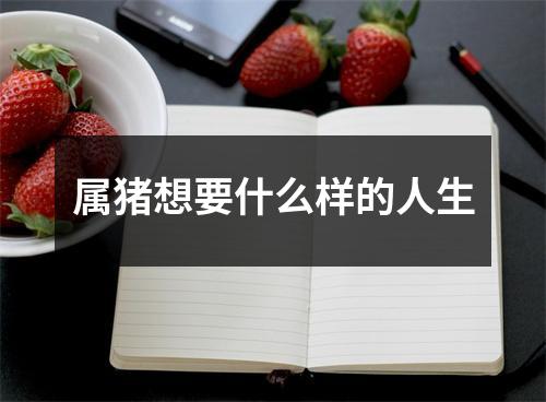 属猪想要什么样的人生