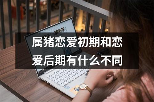 属猪恋爱初期和恋爱后期有什么不同