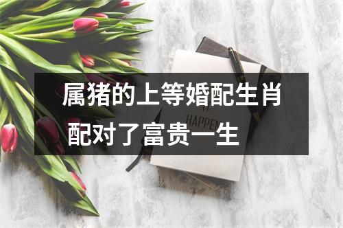 属猪的上等婚配生肖配对了富贵一生