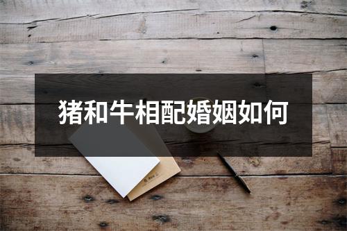 猪和牛相配婚姻如何