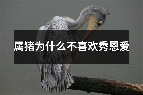属猪为什么不喜欢秀恩爱