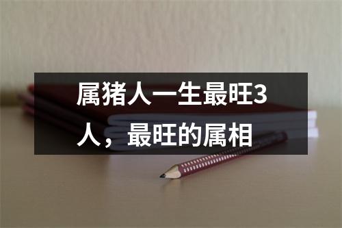 <h3>属猪人一生旺3人，旺的属相
