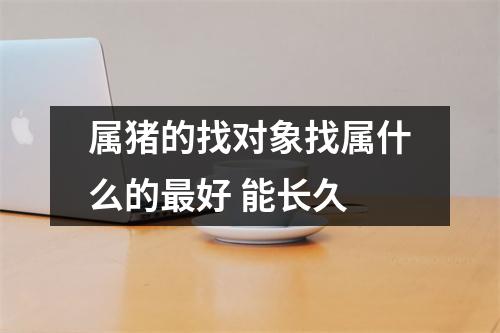 属猪的找对象找属什么的好能长久