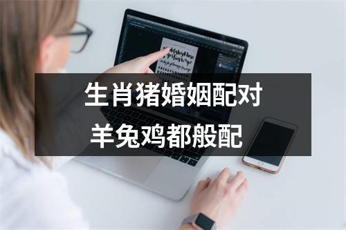 生肖猪婚姻配对羊兔鸡都般配