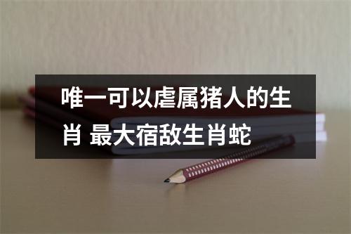 唯一可以虐属猪人的生肖大宿敌生肖蛇